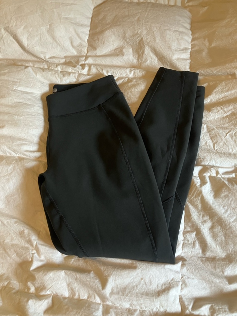 Sherpa Fleece Lined Leggings